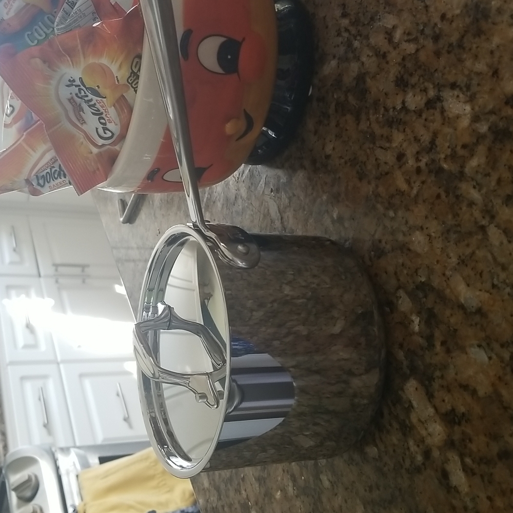 All-clad D3 stainless 2qt pan